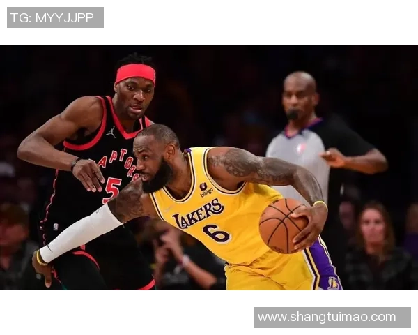 湖人热火总决赛第三场第二节精彩瞬间回顾与分析